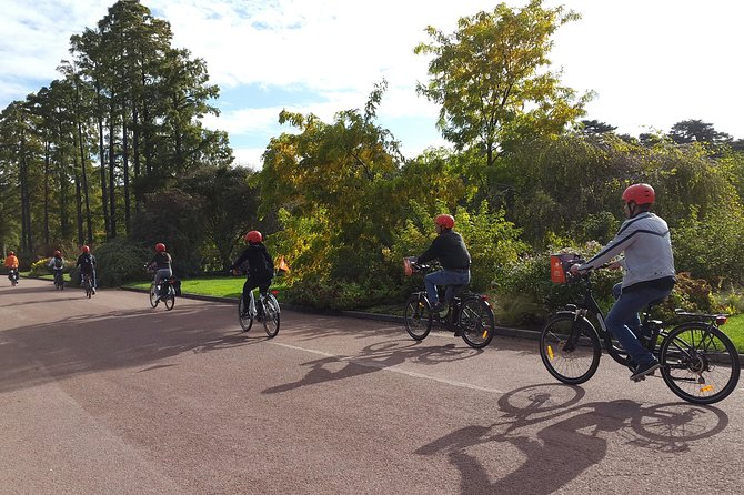 2h - Electric Bike Tour of Lyon with a Local Guide - A 2-hour electric bike rhythm that still feels like seeing Lyon