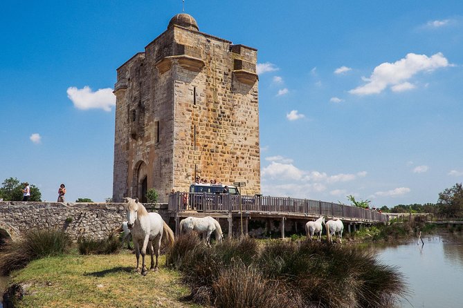 3.5 Hour Camargue 4x4 Safari from Le Grau-du Roi - The included wine and food tasting: a local break that’s not an afterthought