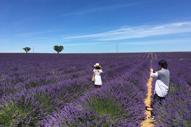 5-Hours Lavender Fields Tour in Valensole from Aix-en-Provence - Key highlights to know before you go