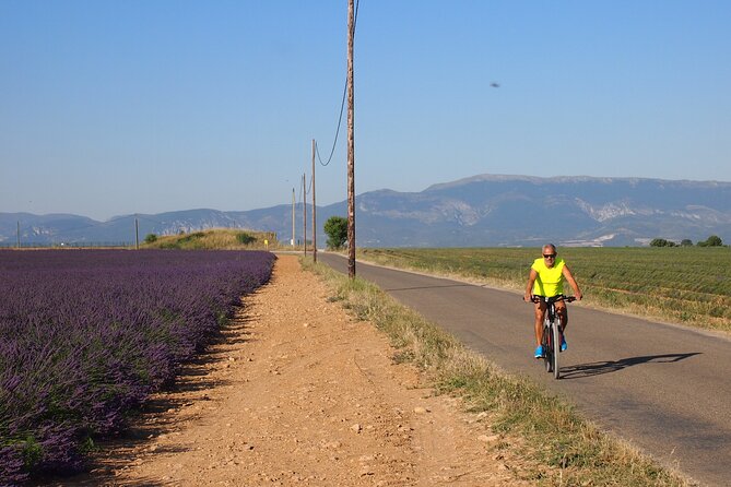 5-Hours Lavender Fields Tour in Valensole from Aix-en-Provence - Getting great photos without turning the day into a photoshoot