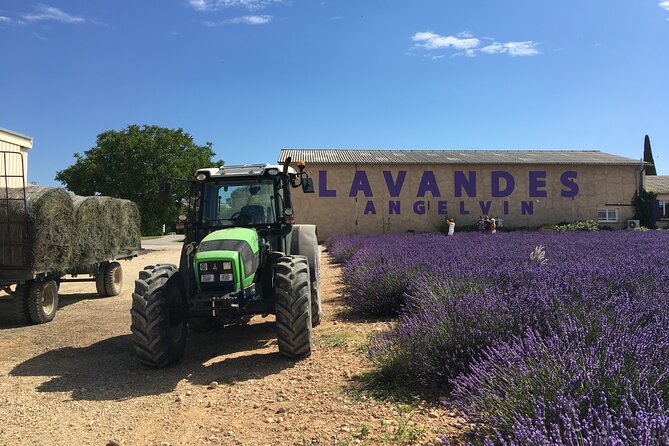 5-Hours Lavender Fields Tour in Valensole from Aix-en-Provence - Producer stops and shopping: useful, but manage your expectations