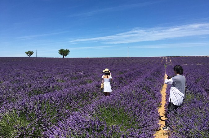 5-Hours Lavender Fields Tour in Valensole from Aix-en-Provence - Valensole village: your one-hour break for lavender ice cream and quick browsing