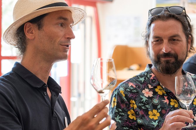 Afternoon Wine Tour to Chateauneuf du Pape from Avignon - What You’ll Learn (and Why the Pacing Helps)