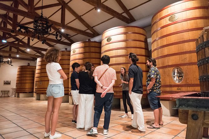 Afternoon Wine Tour to Chateauneuf du Pape from Avignon - Stop Two: Chateau de Châteauneuf-du-Pape Viewpoint for the Big Picture