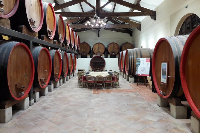 Afternoon Wine Tour to Chateauneuf du Pape from Avignon - Food, Snacks, and the One Practical Mistake to Avoid