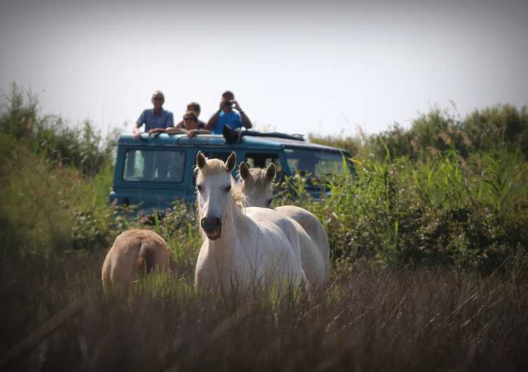 Aigues Mortes: Jeep Photo Safari in Camargue - Aigues-Mortes to Camargue in a 4x4: what you are really buying