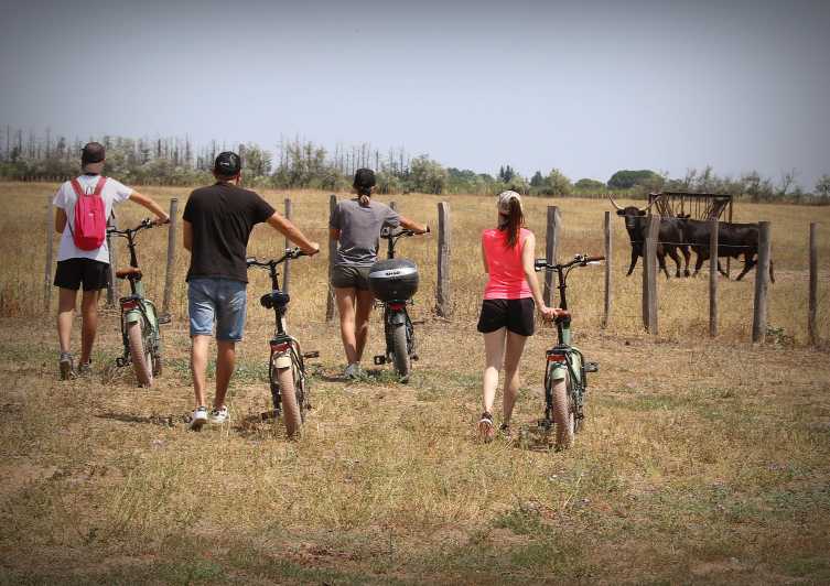 Aigues Mortes: safari en vélo - Ebike tour in Camargue - Why Aigues Mortes makes a smart base for Camargue
