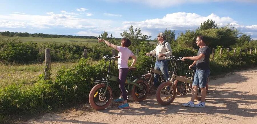 Aigues Mortes: safari en vélo - Ebike tour in Camargue - Culture and traditions in the Camargue, explained along the way