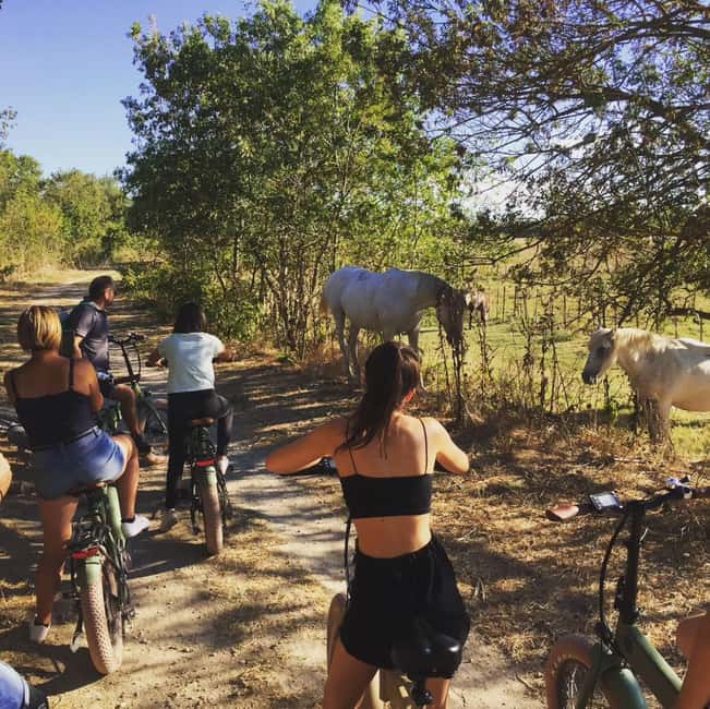 Aigues Mortes: safari en vélo - Ebike tour in Camargue - Electric mountain bikes turn “marshland” into doable riding