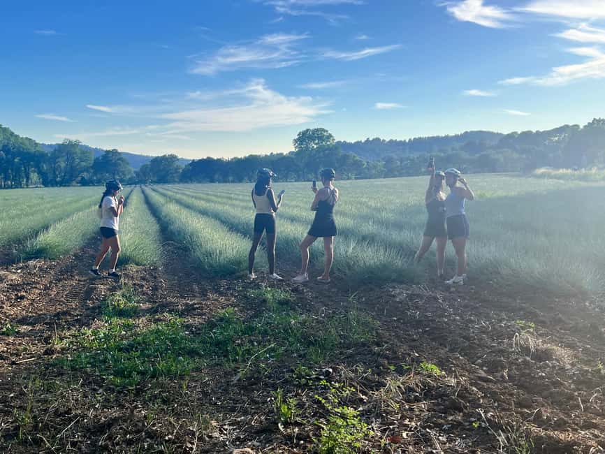 Aix-en-Provence: E-Bike Tour of Mount Sainte-Victoire - Meeting at Cycloplanet, then getting set up the right way