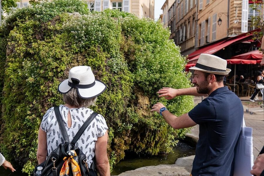 Aix en Provence Food & City Half Day tour - The open-air market stop: why it is more than just sightseeing