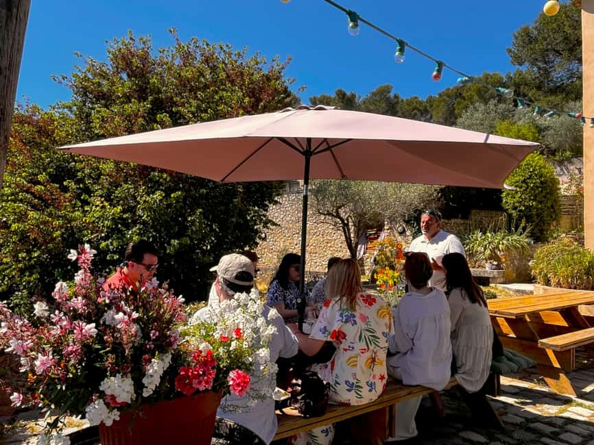 Aix-en-Provence: Half Day Wine Tour in Coteaux d'Aix - Key Highlights You’ll Actually Feel