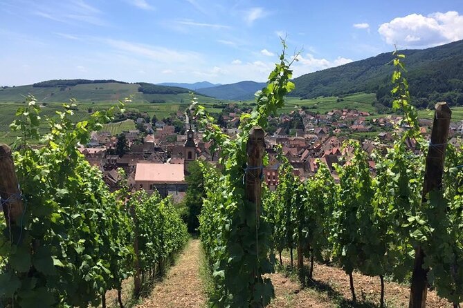 Alsace 4 Wonders Small-Group Day Trip from Colmar - A tight plan for four Alsace “wonders” in one day