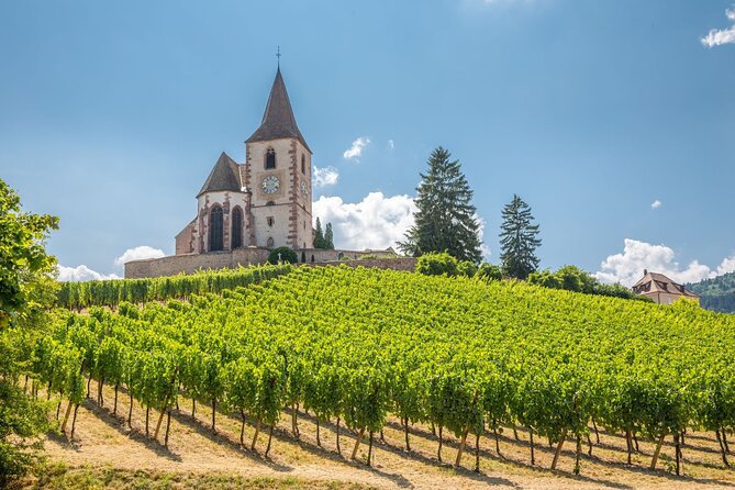 Alsace Full Day Wine Tour from Colmar - A Colmar Wine Day With Three Tastings and Village Time