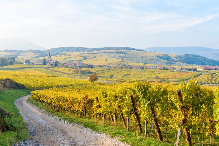 Alsace: Full-Day Wine Tour & Tastings from Strasbourg - The Mittelbergheim to Ribeauvillé contrast that makes the day click