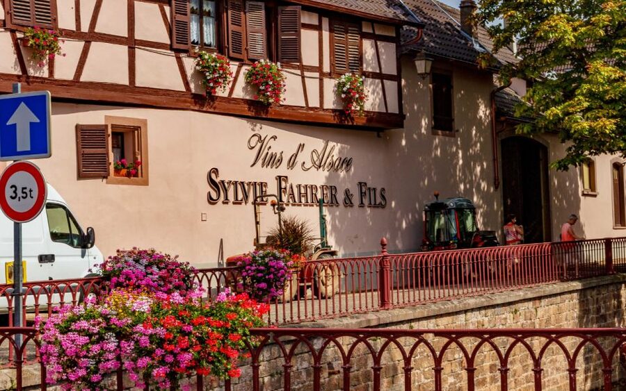 Alsace : Guided winery tour - local wine tasting FRENCH - Key highlights worth planning around