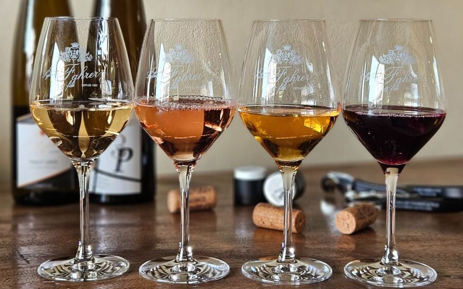Alsace : Guided winery tour - local wine tasting FRENCH - The blind tasting option: how black glasses sharpen your senses