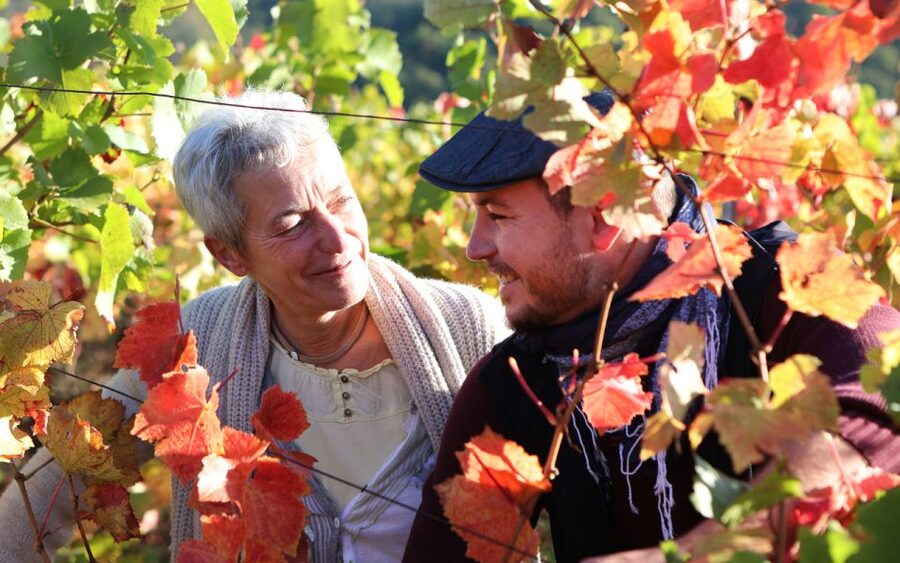 Alsace : Guided winery tour - local wine tasting FRENCH - Food pairing at 22€: turning wine tasting into a real meal moment