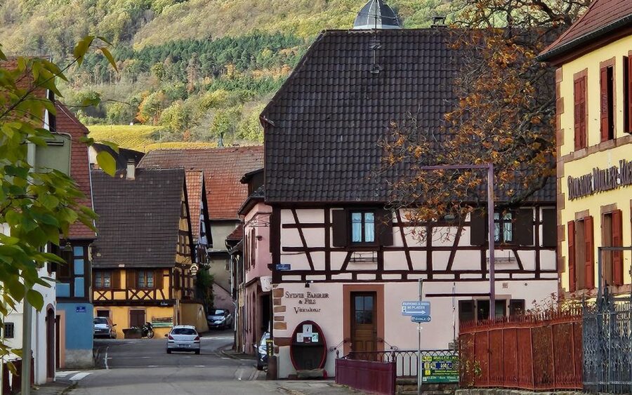 Alsace : Guided winery tour - local wine tasting FRENCH - Timing, comfort, and getting there the easy way