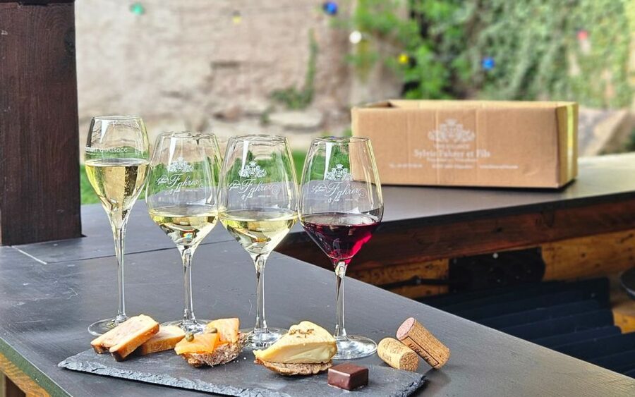 Alsace : Guided winery tour - local wine tasting FRENCH - Who should book this tour?