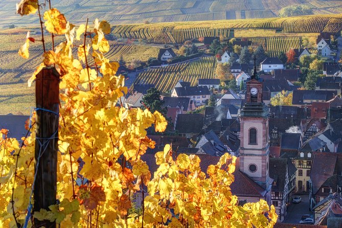Alsace Half Day Wine Tour from Colmar - Key Points Before You Go