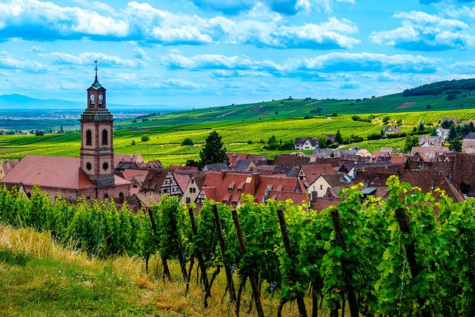 Alsace Half Day Wine Tour from Colmar - Colmar Start, Smooth Half-Day Timing, and What You Actually Get