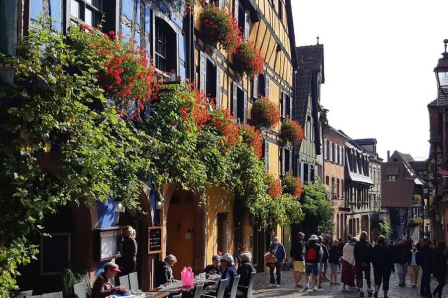 Alsace: Half-Day Wine Tour from Colmar - Should You Book Alsace Safari’s Half-Day Wine Tour From Colmar?