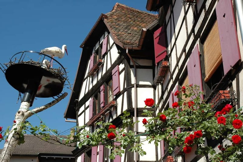 Alsace Half-Day Wine Tour from Strasbourg - First tasting in Obernai, where the guide sets the wine frame