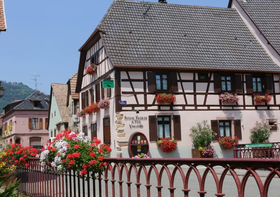 Alsace: Winery Tour and Alsatian Wine Tasting ENGLISH - Getting there from Sélestat and Colmar, and when to plan your day