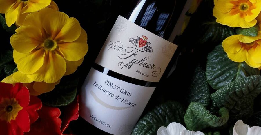 Alsace: Winery Tour and Alsatian Wine Tasting ENGLISH - Three tour styles, so you can pick your comfort level with tasting