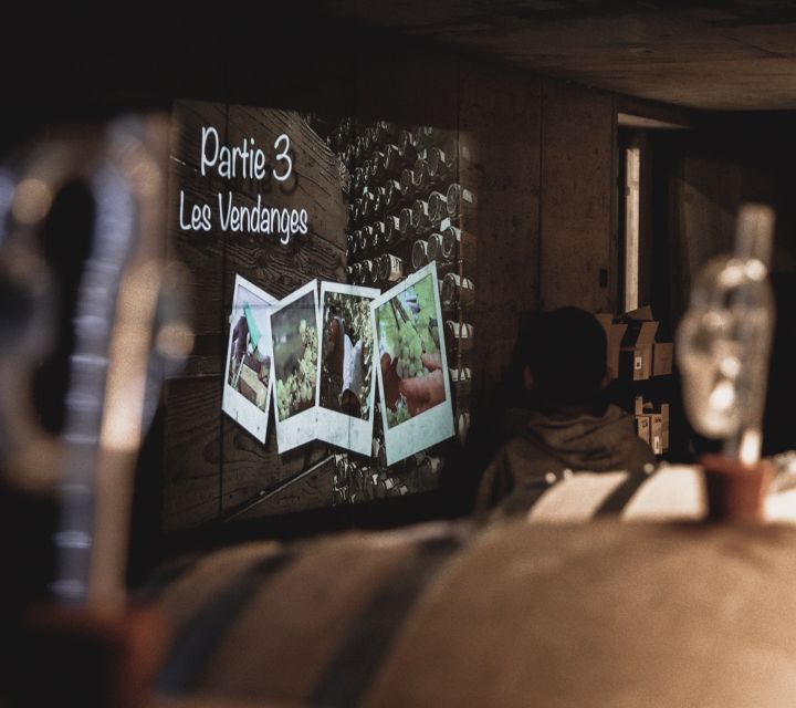 Alsatian Guided Wine Tasting and Immersive wine cellar tour - Price and value at about $22 per person