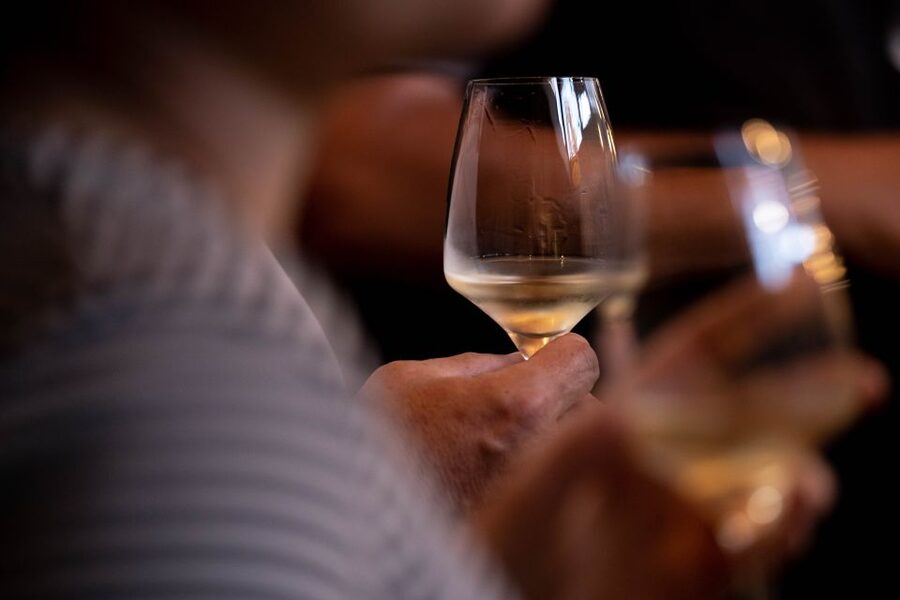 Alsatian Guided Wine Tasting and Immersive wine cellar tour - Where you meet: 156 Rte de Strasbourg or Gertwiller