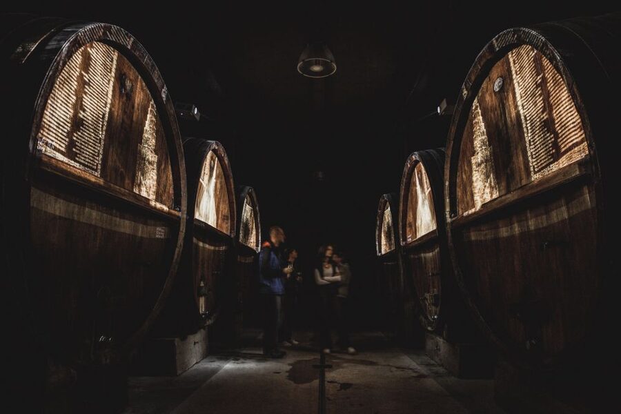 Alsatian Guided Wine Tasting and Immersive wine cellar tour - Five wines, from sparkling to sweet white (and rosé)