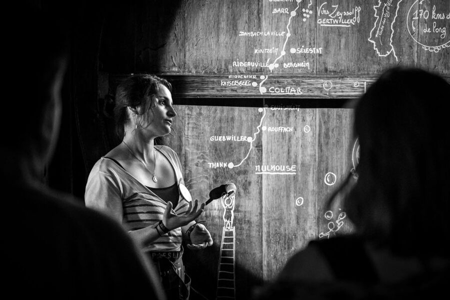 Alsatian Guided Wine Tasting and Immersive wine cellar tour - The 180-degree barrel projection in the cellar