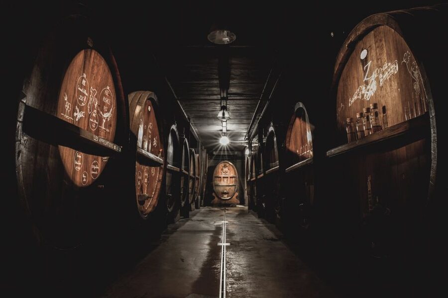 Alsatian Guided Wine Tasting and Immersive wine cellar tour - Getting the most out of the sommelier-led tasting