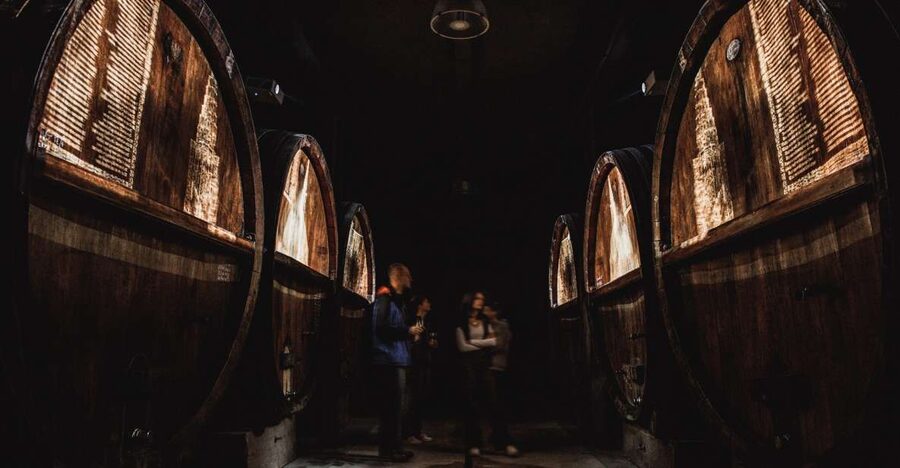 Alsatian Guided Wine Tasting and Immersive wine cellar tour - The renovated family winery cellar