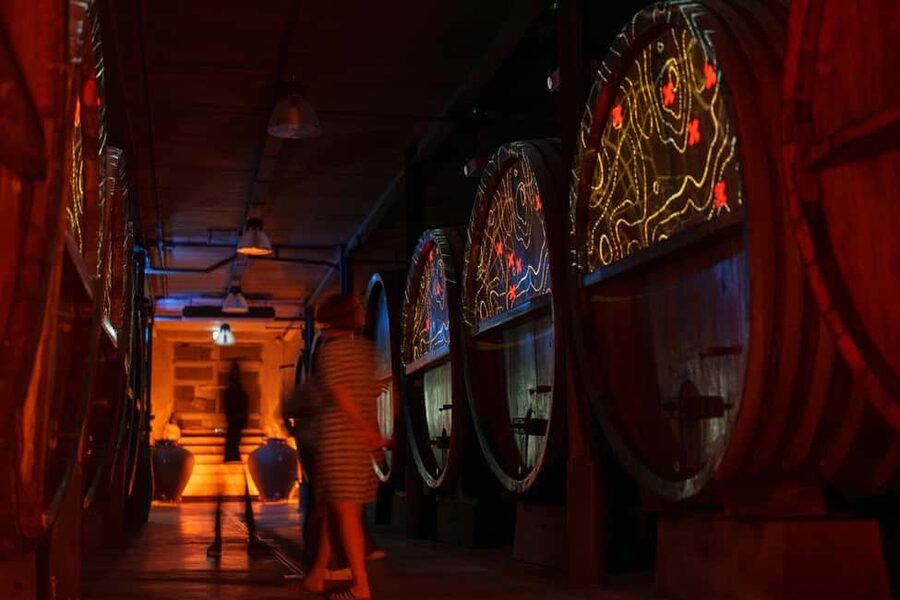 Alsatian Immersive Wine Tour, Wine Tasting & Alsatian lunch - Key things you will notice fast