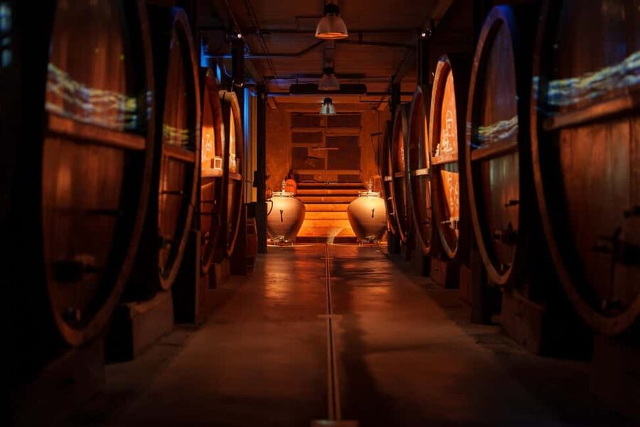 Alsatian Immersive Wine Tour, Wine Tasting & Alsatian lunch - Traditional Alsatian winemaking, explained in plain steps