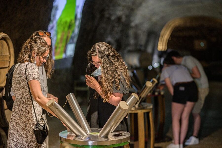 Amboise: Caves Ambacia Visit and Wine Tasting - Key things that make this Amboise wine cave visit special