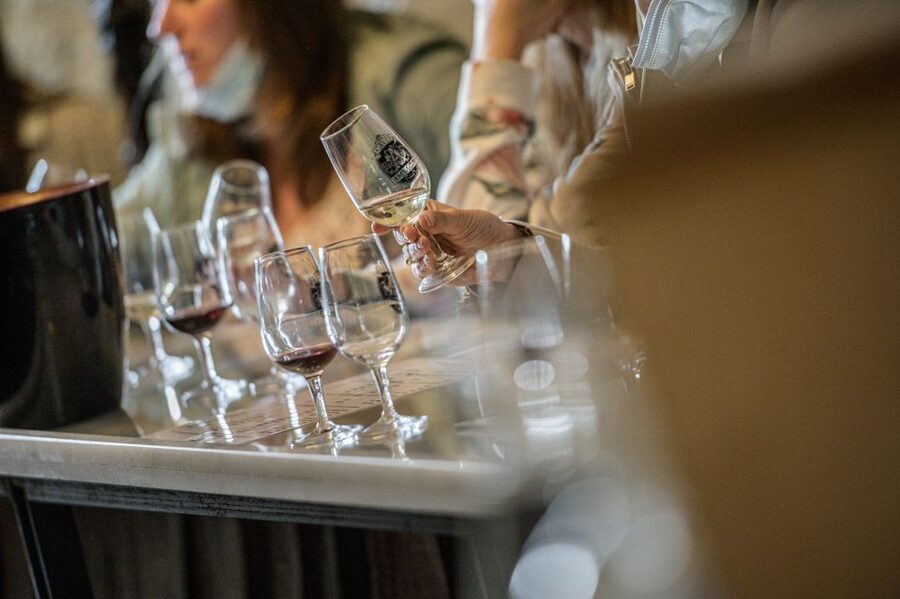 Amboise: Caves Ambacia Visit and Wine Tasting - Vintages Odyssey: 150 years of wine history in real time