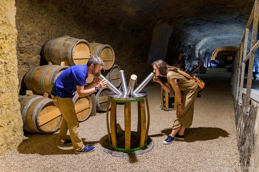 Amboise: Caves Ambacia Visit and Wine Tasting - Price and timing: is $37 for 90 minutes a fair deal?