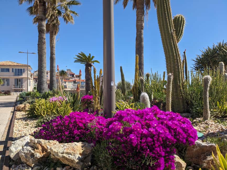 Antibes: 2 hour walking tour in the old town - Should you book this Antibes old town walk?