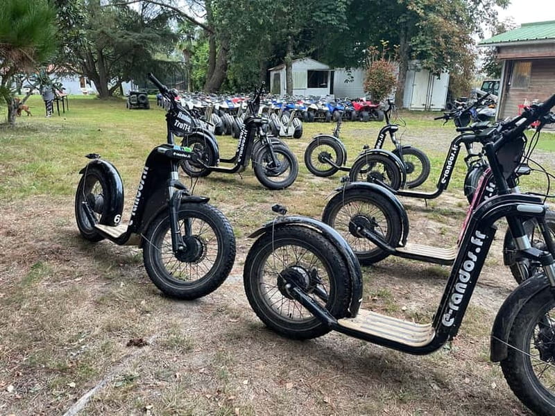 Arcachon Bay: electric scooter ride with varied routes. - Quick hits before you go