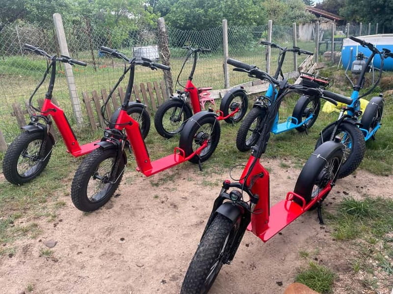 Arcachon Bay: electric scooter ride with varied routes. - The themed rides: food, oysters, and sunset tapas