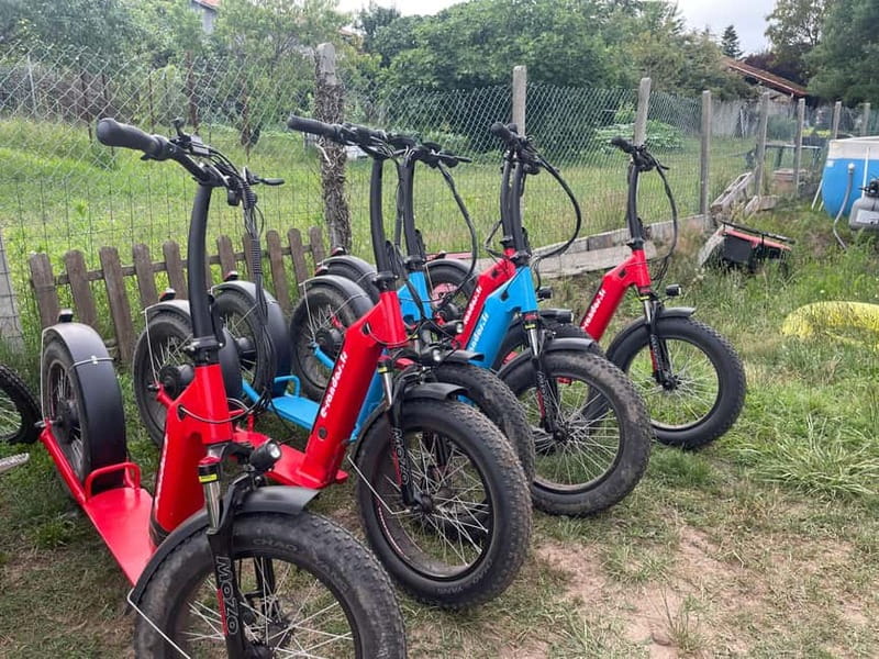 Arcachon Bay: electric scooter ride with varied routes. - Price and value: $53 for scooters, guidance, and possible food stops