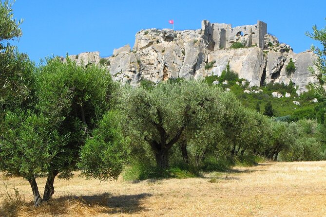 Arles, Les Baux and Saint-Remy villages Full Day Trip from Aix - Pacing and What You Can Control During the Free Time