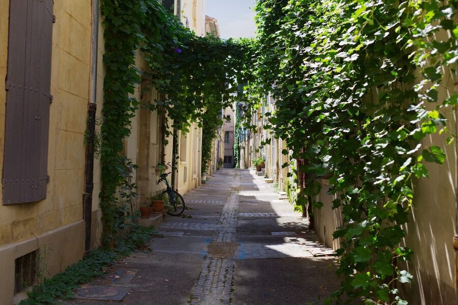 Arles: Private Guide Tour - Explore History & Culture - Starting at the tourist office area near Mémorial Charles de Gaulle