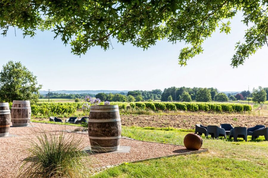 At the gates of Toulouse: from the vine to the cellar - Key points at a glance