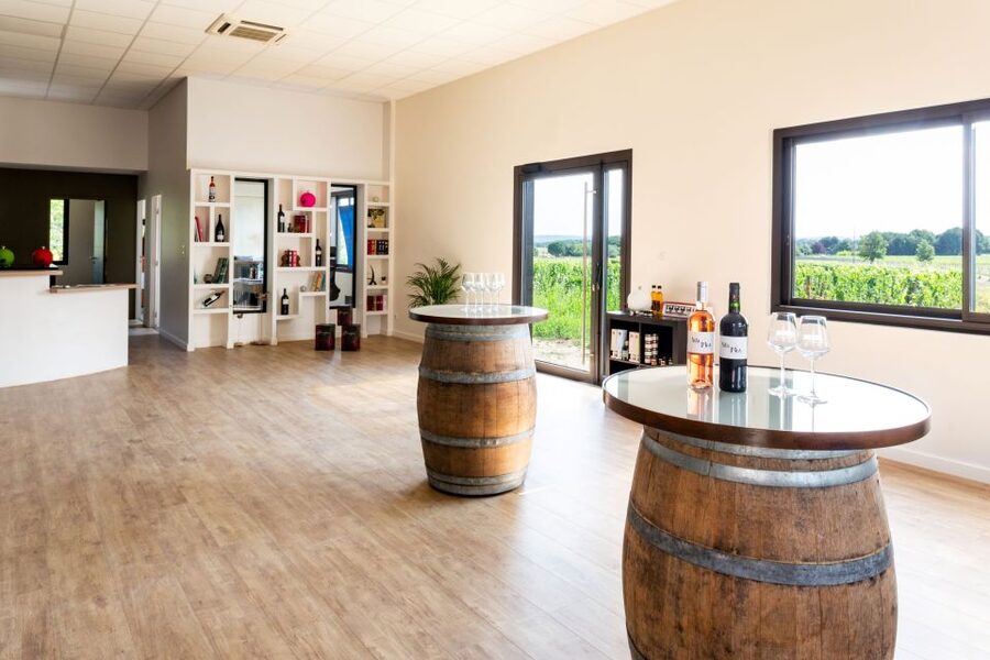 At the gates of Toulouse: from the vine to the cellar - Fronton, Negrette, and why this tour starts in the vines
