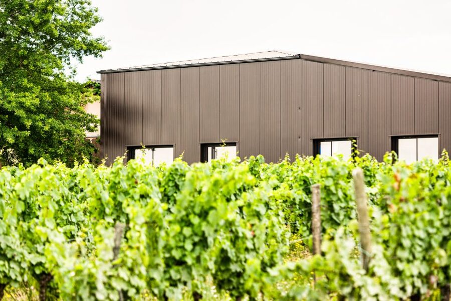At the gates of Toulouse : Gourmet Tour - Walk and Tastings - Quick hits before you go